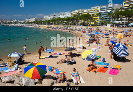 Avis de touristes sur la plage de Cannes Cote d Azur France Banque D'Images