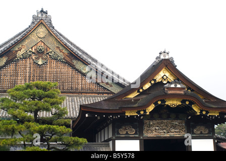 Ninomaru Palace dans le château de Nijo Kyoto au Japon Banque D'Images