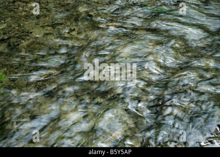 L'eau s'écoule plus de cailloux dans un ruisseau peu profond avec flexion des mauvaises herbes dans l'écoulement. Banque D'Images
