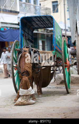 Cheval et piège dans les rues de Kadiri, Andhra Pradesh, Inde Banque D'Images