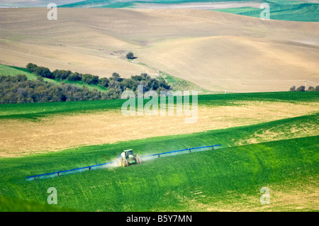 Pulvériser le blé d'hiver pour lutter contre les mauvaises herbes dans la région de Washington Palouse Banque D'Images