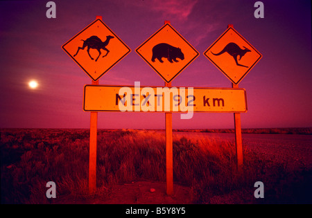 Animal Crossing road sign, Australie Banque D'Images