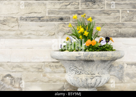 Fleurs dans un pot de fleurs Banque D'Images