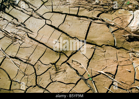 Morceau de séchage du sol dans Amoud Creek basse Galilée Israël Banque D'Images