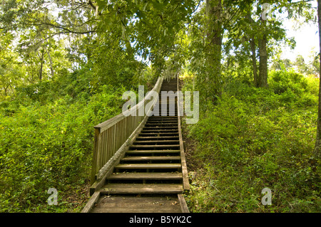 Lake Jackson Mounds Archaeological State Park Tallahassee Floride temple indien terre mounds escaliers en bois boardwalk Banque D'Images