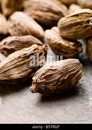 Cardamome noire entière Banque D'Images