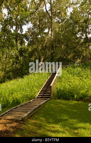 Lake Jackson Mounds Archaeological State Park Tallahassee Floride temple indien terre mounds escaliers en bois boardwalk Banque D'Images