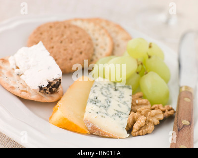 Assiette de fromage et des biscuits Banque D'Images