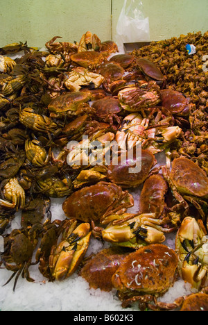 Les écrevisses et autres seafoods au marché de la Boqueria à Barcelone Espagne Europe Banque D'Images