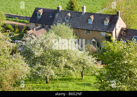 Un matin tôt afin de chalets dans le village de Cotswold Naunton dans la vallée de la rivière Windrush, Gloucestershire Banque D'Images