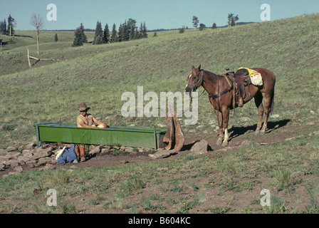 Un éventail cowboy avec son cheval attaché à proximité prend un bain dans un creux d'abreuvement du bétail sur une grande Banque D'Images