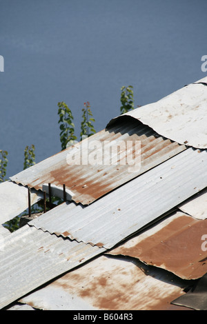 Un vieux hangar délabré hut dans le champ en pays Banque D'Images