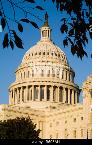Capitole dome Washington D.C. Banque D'Images