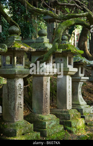 Lanternes Kasuga Shrine Banque D'Images