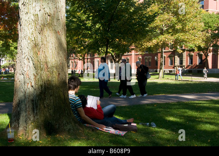 Deux étudiants qui étudient sur la pelouse à l'Université de Harvard Yard Banque D'Images