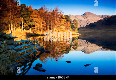 Soleil du matin s'allume les arbres d'automne sur les rives du Tarn Blea Langdale Pikes et reflétée dans l'eau encore, Lake District, UK Banque D'Images