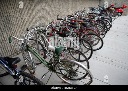 Lignes de bicyclettes verrouillé sur un rack à l'extérieur d'un bâtiment à New Haven New York USA Banque D'Images