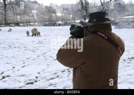 Photographe amateur de prendre des photos de moutons dans la neige dans le Warwickshire, Angleterre, RU Banque D'Images
