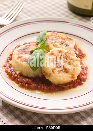 Romana Gnocchi à la sauce tomate Banque D'Images