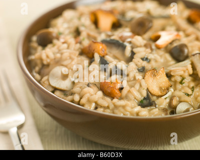 Bol de risotto aux champignons sauvages Banque D'Images