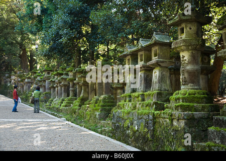 Lanternes en pierre au sanctuaire Kasuga Nara Banque D'Images