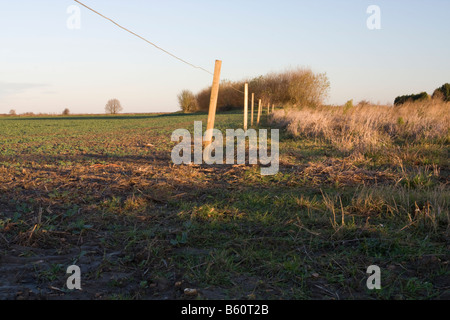 Ligne de clôture sur un champ Banque D'Images