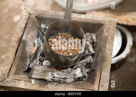 Les grains de café fraîchement torréfié au cours d'une cérémonie du café, préparé au cours des températures en été de 45°C à l'air libre Banque D'Images