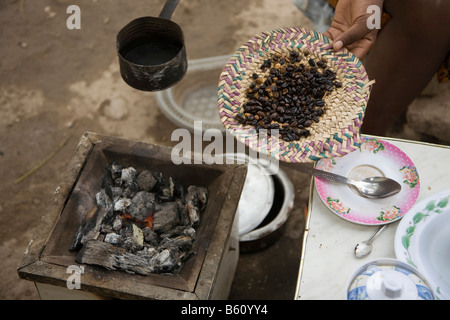 Les grains de café fraîchement torréfié au cours d'une cérémonie du café, préparé au cours des températures en été de 45°C à l'air libre Banque D'Images