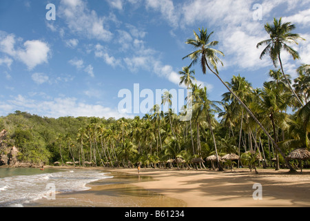 Playa Medina, plage, Venezuela, Caraïbes, Amérique du Sud Banque D'Images