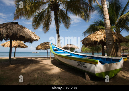 Voile, parasols sur Playa Medina, plage, Venezuela, Caraïbes, Amérique du Sud Banque D'Images