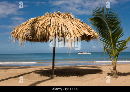 Parasol sur Playa Medina, plage, Venezuela, Caraïbes, Amérique du Sud Banque D'Images