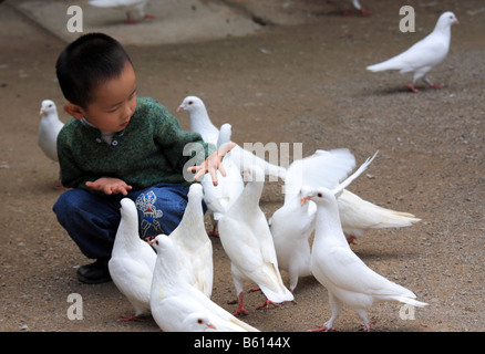 Petit garçon chinois montrant les mains vides après l'alimentation des pigeons blancs avec des arachides étaient partis en Chine Guizhou Banque D'Images