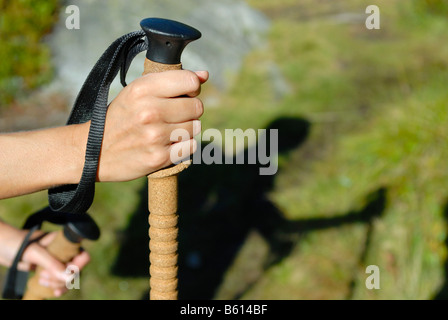 Main tenant une pôles trekking, détail, jeune femme en randonnée dans les montagnes, forêt, vallée du Stubaital, Tyrol, Autriche, Europe Banque D'Images