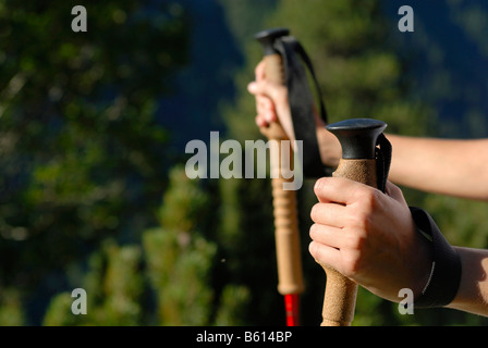 Mains tenant un pôles trekking, détail, jeune femme en randonnée dans les montagnes, forêt, vallée du Stubaital, Tyrol, Autriche, Europe Banque D'Images