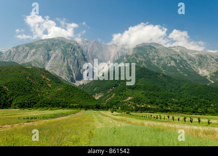 Champ dans Vjoses avec la vallée de l'Aoos, Nemerck montagnes, l'Albanie, de l'Europe Banque D'Images