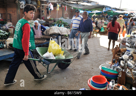 Le travail des enfants, le transport des achats des clients de garçon à l'aide d'une brouette sur le marché local, Santa Cruz, Bolivie, Amérique du Sud Banque D'Images