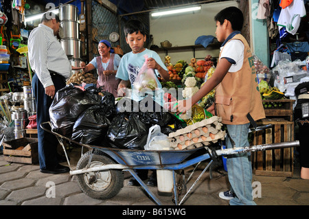 Le travail des enfants, les garçons le transport des achats des clients à l'aide d'une brouette sur le marché local, Santa Cruz, Bolivie Banque D'Images