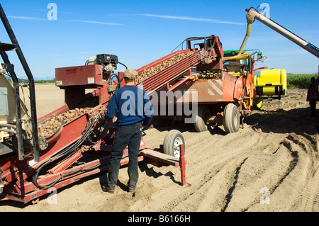 Le poste de recharge le semoir à engrais et semences de pommes de terre lors de la plantation du printemps dans le nord-ouest de Washington Banque D'Images