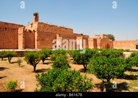 Des cigognes sur le mur de la palais Badi, Marrekesh, Maroc, Afrique Banque D'Images