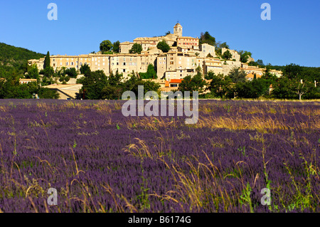 Le village médiéval de Banon sur une colline au-dessus de champs de lavande en fleurs au coeur de la Provence, France, Europe Banque D'Images