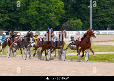 Trotting race, trotters, Daglfing, Munich, Haute-Bavière, Bavière Banque D'Images