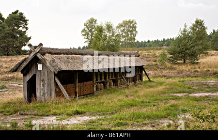 Des ruches dans le Luneburger heide près de Lunebourg en Allemagne Banque D'Images