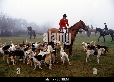 La chasse au renard à cheval, CHESHIRE FOXHOUNDS RUNNYMEADE, ferme, COMTÉ DE CHESTER, Pennsylvania, USA Banque D'Images