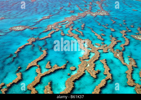 Récifs coralliens et les atolls de la Grande Barrière de Corail, Australie Banque D'Images