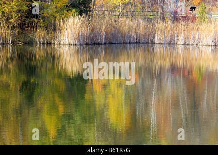 Couleurs d'automne à Don Valley Brickworks de conservation Banque D'Images