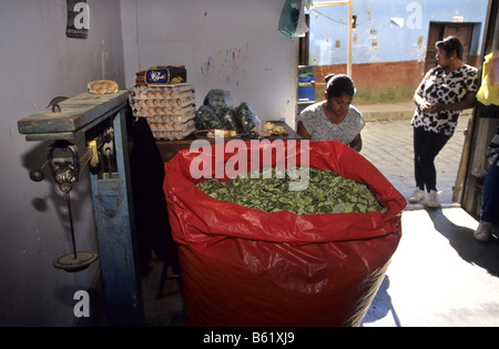 Pesée de la feuille de coca pour l'utilisation traditionnelle dans un magasin de village Los Yungas Coroico Bolivie Banque D'Images