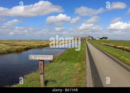 Sur le monticule d'habitation Langeness holm, Langeness, Schleswig-Holstein, Allemagne, Europe Banque D'Images