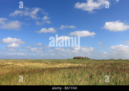 Sur le monticule d'habitation Langeness holm, Langeness, Schleswig-Holstein, Allemagne, Europe Banque D'Images