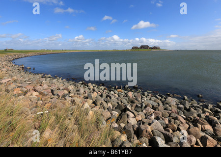 Sur le monticule d'habitation Langeness holm, Langeness, Schleswig-Holstein, Allemagne, Europe Banque D'Images