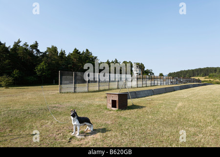 Frontière DDR avec berger allemand sculpture, Point Alpha, Musée de la frontière Rasdorf/Geisa, Rhoen, Hesse/Thuringe, Allemagne, Banque D'Images